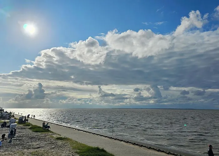 Finkennest Wolke 7 *